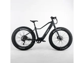 FitNord Rumble 300 Sähköfatbike G2
