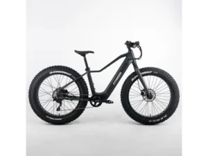 FitNord Rumble 300 Sähköfatbike G2